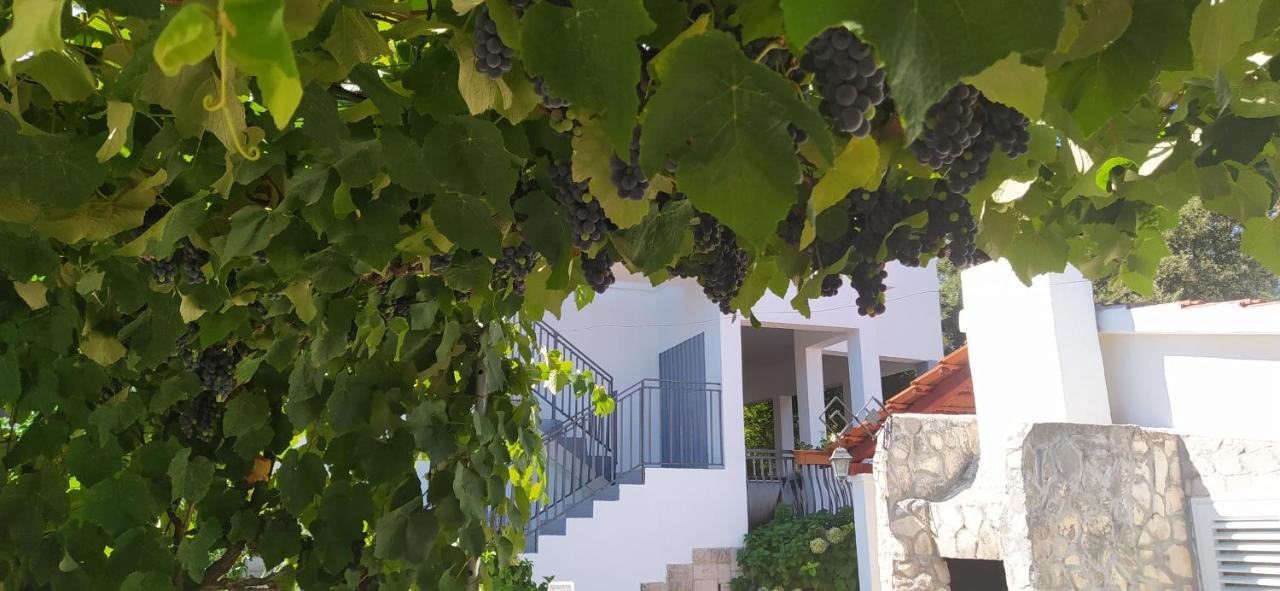 Apartment Lavanda Nova Ražanj Eksteriør billede