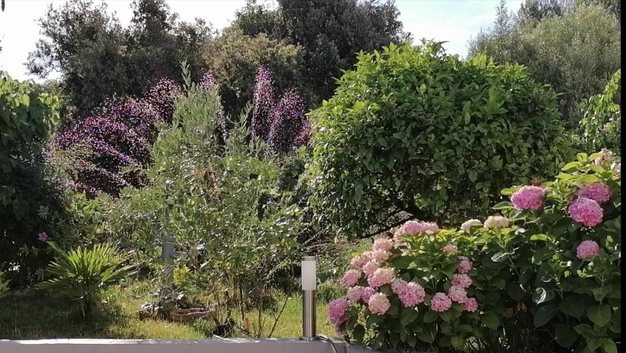 Apartment Lavanda Nova Ražanj Eksteriør billede