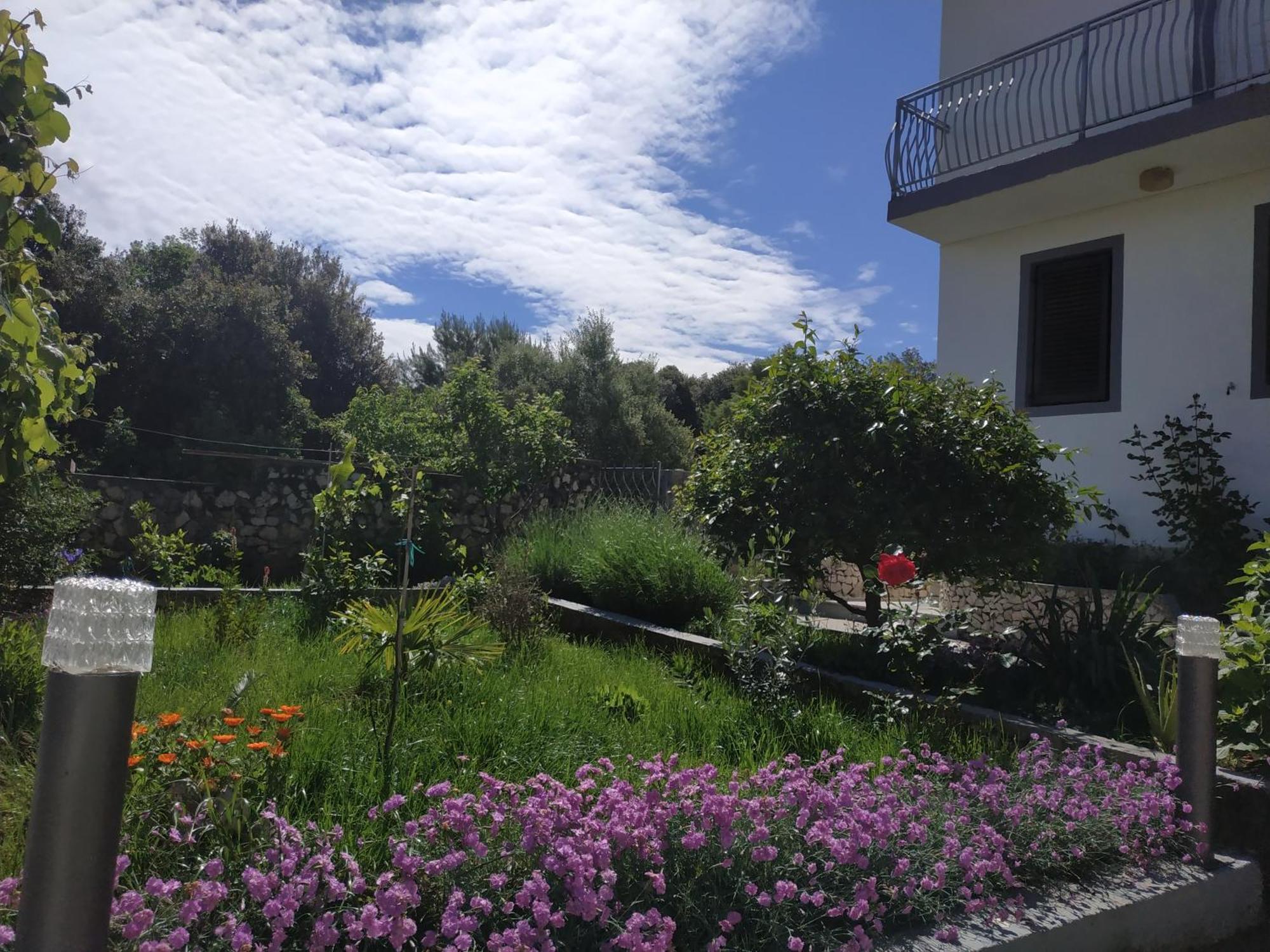 Apartment Lavanda Nova Ražanj Eksteriør billede