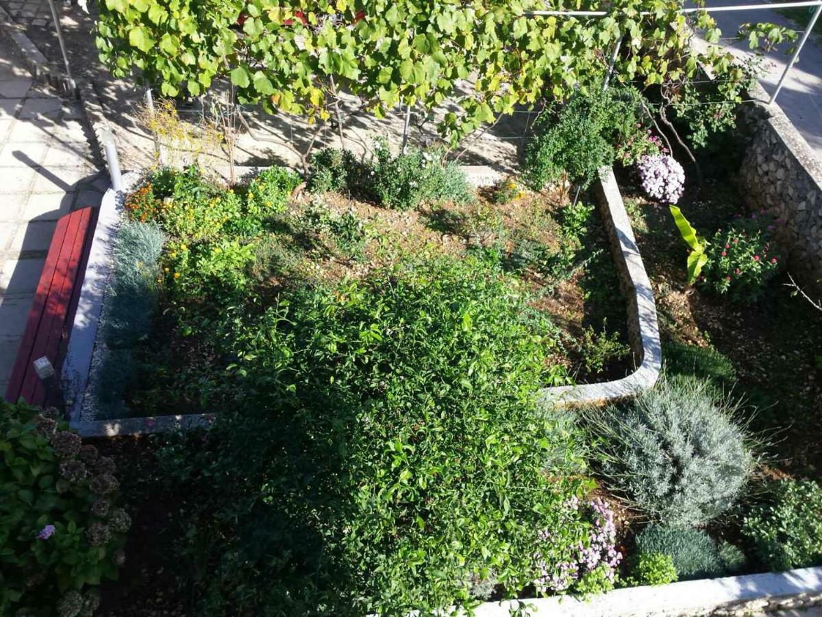 Apartment Lavanda Nova Ražanj Eksteriør billede
